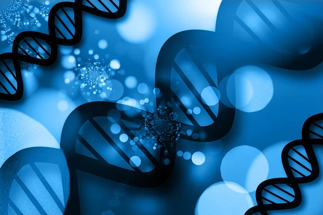 大冶上門換鎖電話(換鎖芯電話)